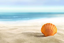 新西兰球队士气高涨，备战备战：从训练场到赛场的全面冲刺