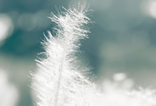 英格兰队在国际足球赛中闯入决赛：荣耀与商机并行