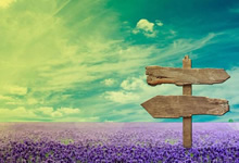 美职篮球赛场上发生激烈冲突，裁判严格处罚